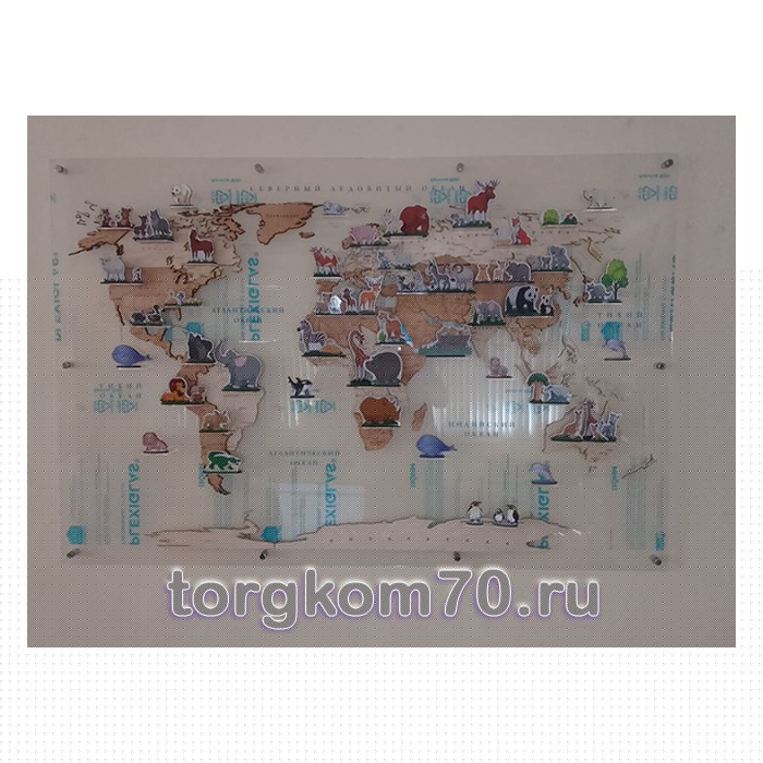 карта мира Карта мира на подложке из оргстекла + деревянные игрушки — изображение 1