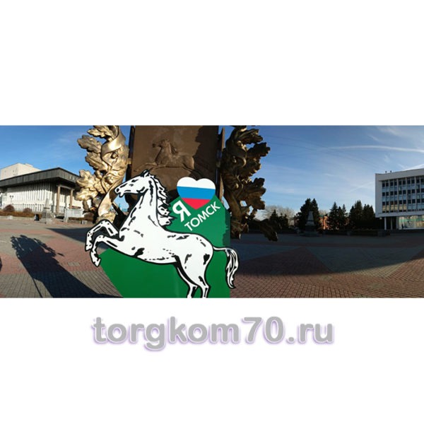 Уличная фигура "Я люблю Томск" — изображение 3