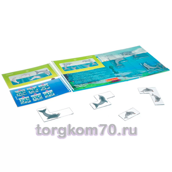 Магнитная игра Bondibon для путешествий, ДЕЛЬФИНЧИКИ, SGT 310 RU. — изображение 3