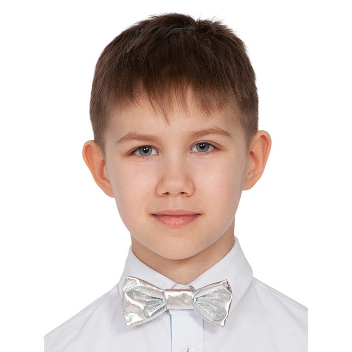 45210570269c11f197f08af3fd022432_30bb273e269f11f197f08af3fd022432 Галстук-БАБОЧКА серебряный металлик — изображение 1